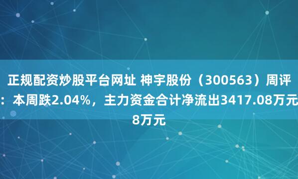 正规配资炒股平台网址 神宇股份（300563）周评：本周跌2.04%，主力资金合计净流出3417.08万元
