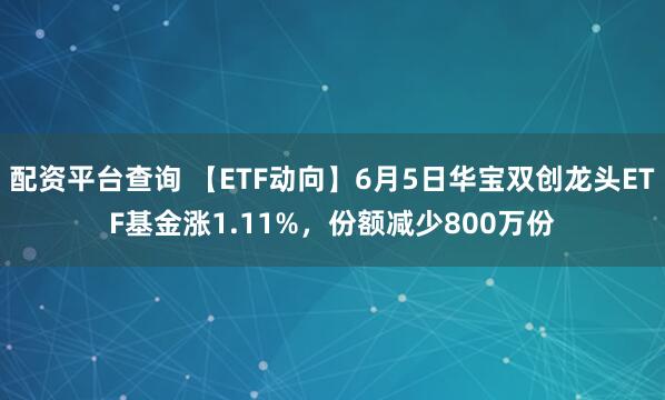 配资平台查询 【ETF动向】6月5日华宝双创龙头ETF基金涨1.11%，份额减少800万份