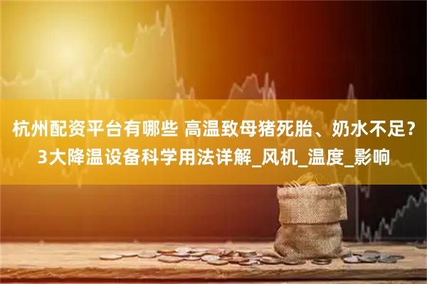 杭州配资平台有哪些 高温致母猪死胎、奶水不足？3大降温设备科学用法详解_风机_温度_影响